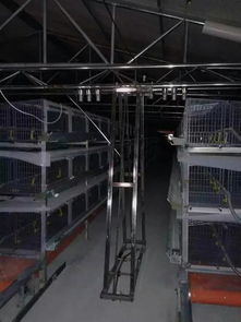 笼式养殖喂料机产品实拍与技术解析——大石桥威德节能设备制造厂倾心打造
